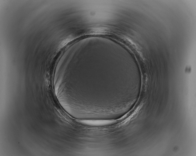 X0000097991449200804211051