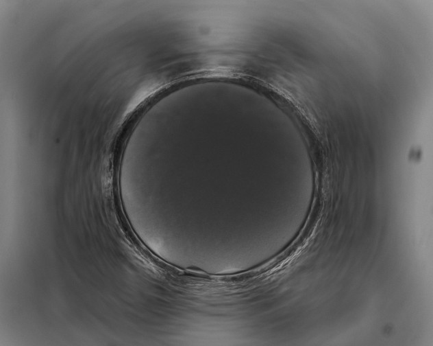 X0000097991450200804211051