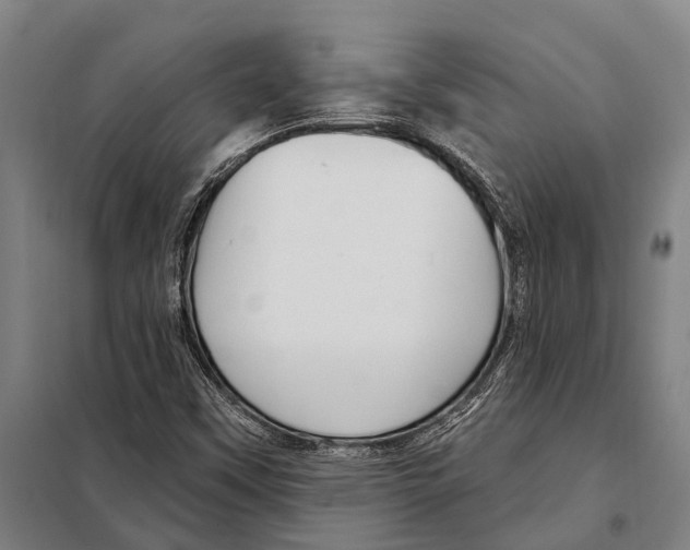 X0000097991451200804211051