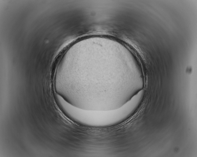 X0000097991452200804211051