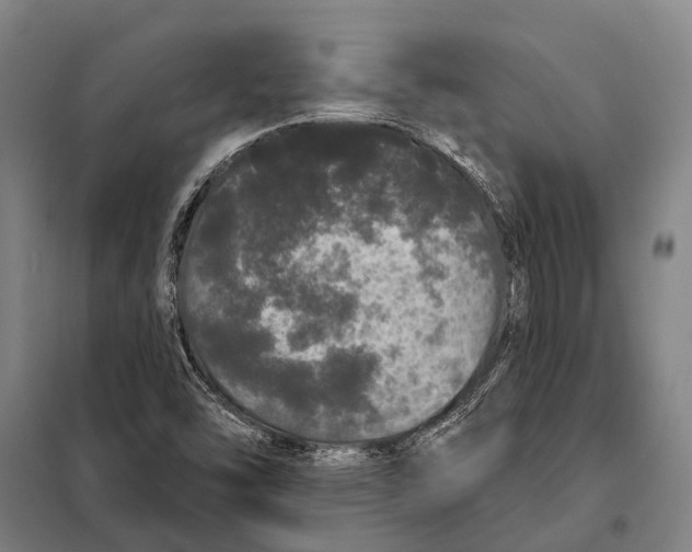 X0000097991454200804211051