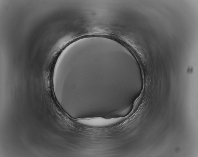 X0000097991455200804211051