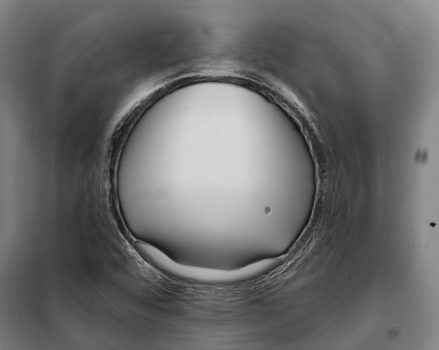 X0000097991456200804211051