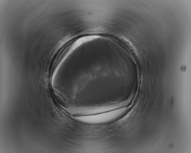 X0000097991457200804211051