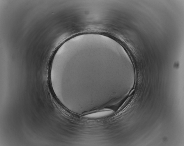 X0000097991459200804211051