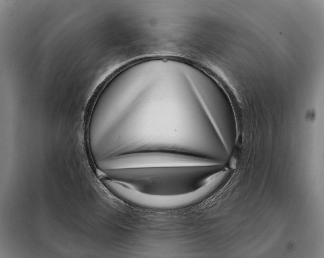 X0000097991460200804211051