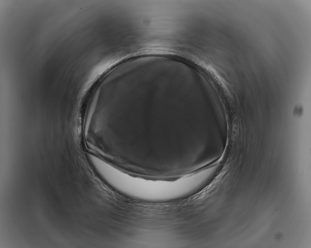 X0000097991461200804211051