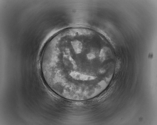 X0000097991462200804211051