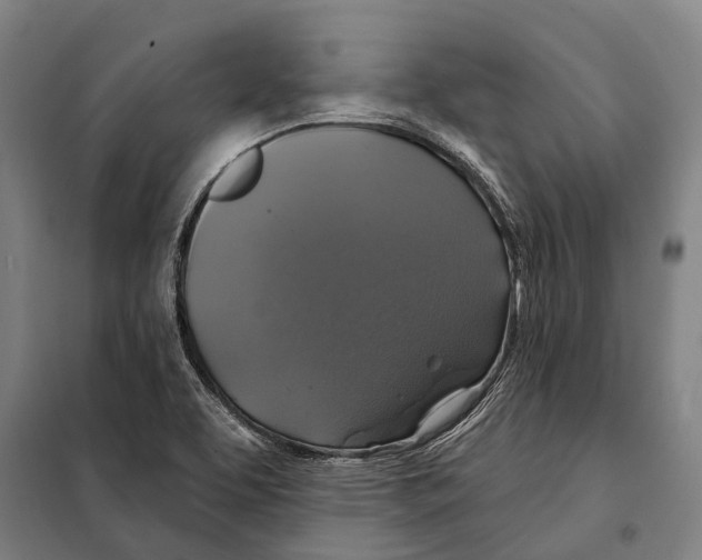 X0000097991463200804211051