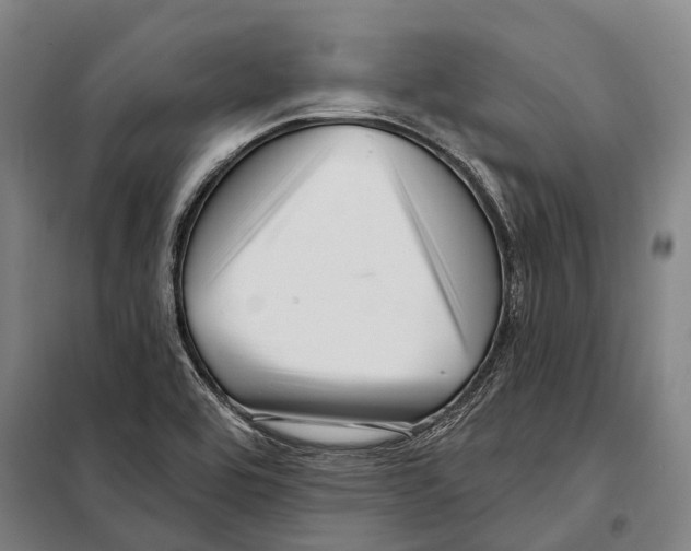 X0000097991464200804211051