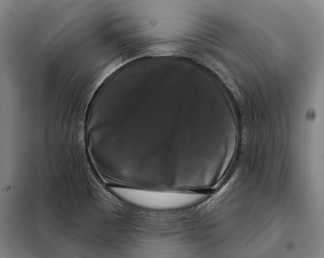 X0000097991465200804211051