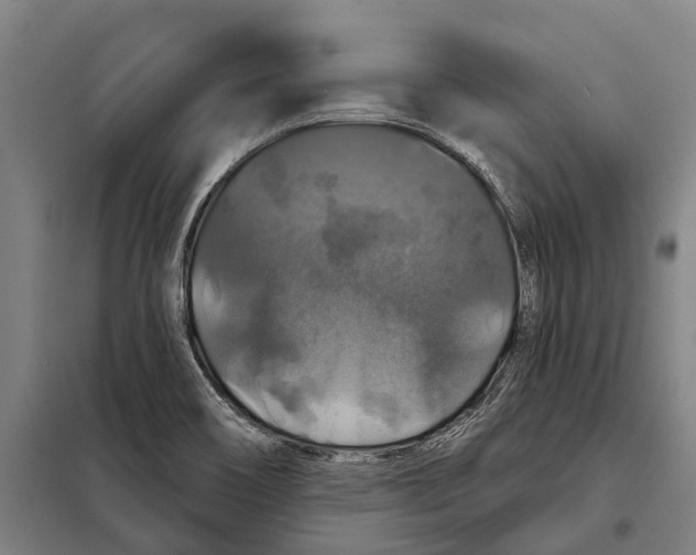 X0000097991466200804211051