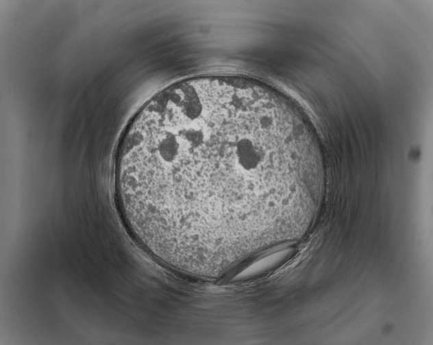 X0000097991467200804211051