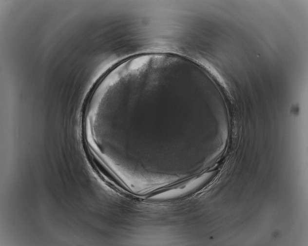 X0000097991468200804211051