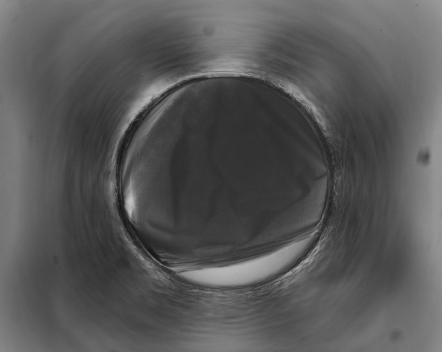 X0000097991469200804211051