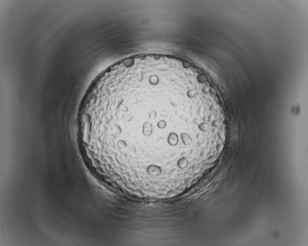 X0000097991471200804211051