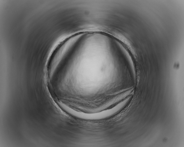 X0000097991472200804211051