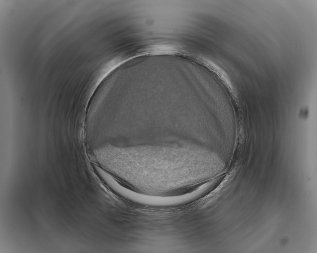 X0000097991473200804211051