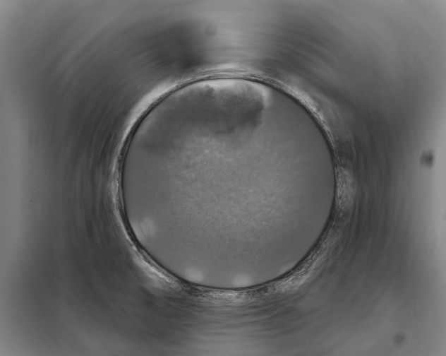 X0000097991474200804211051