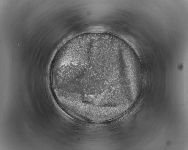 X0000097991475200804211051