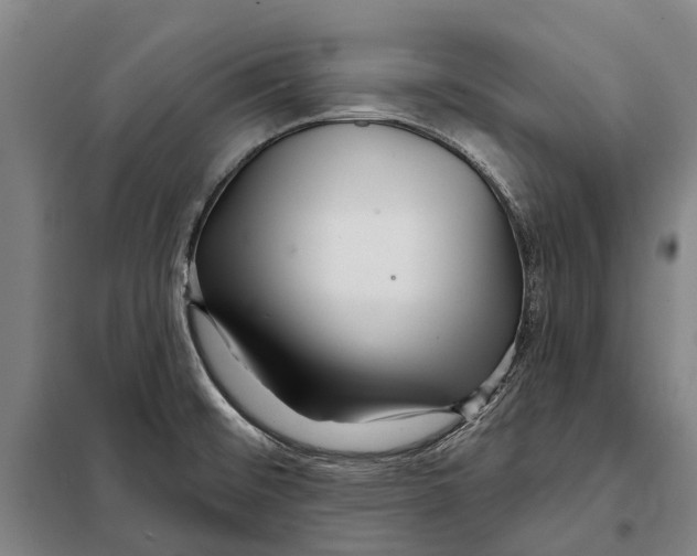 X0000097991476200804211051