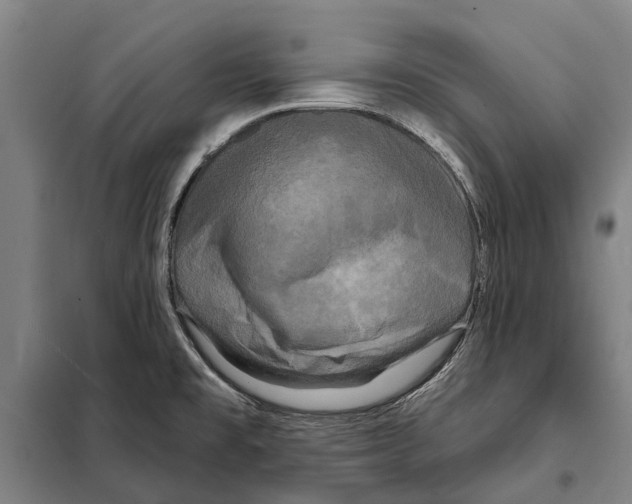 X0000097991477200804211051