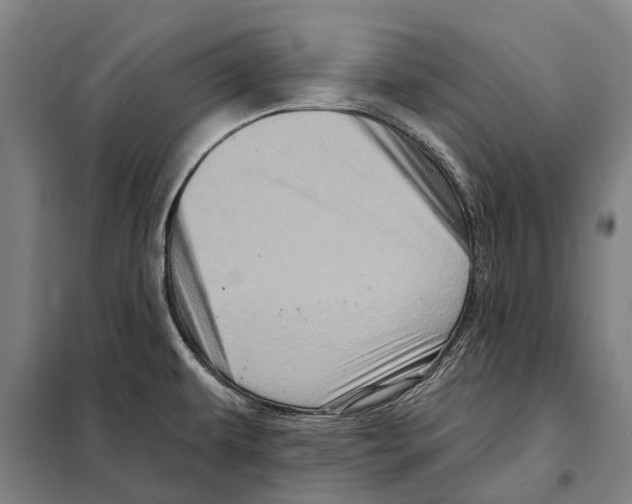 X0000097991479200804211051