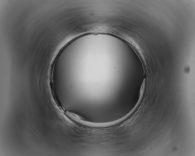 X0000097991480200804211051