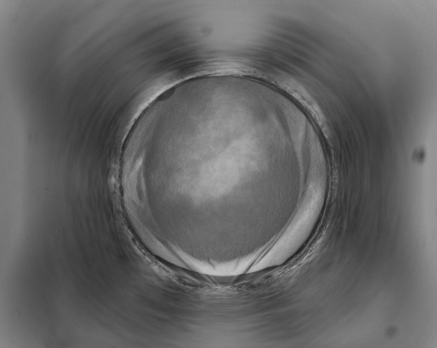 X0000097991481200804211051