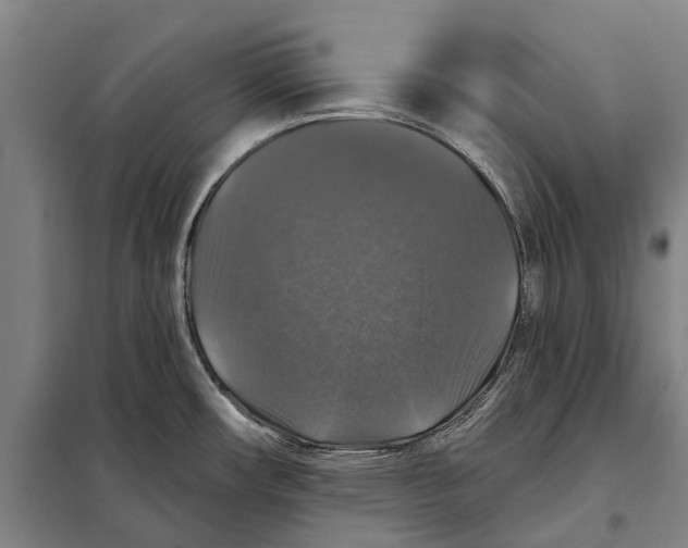 X0000097991482200804211051