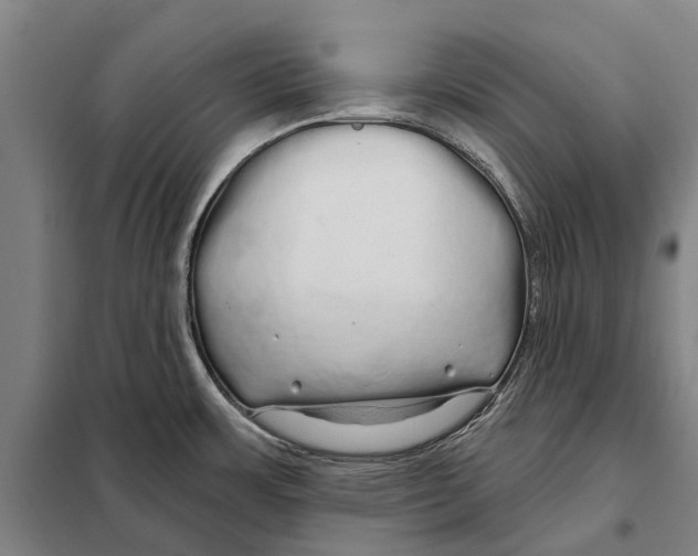 X0000097991483200804211051