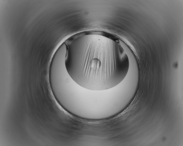 X0000097991484200804211051