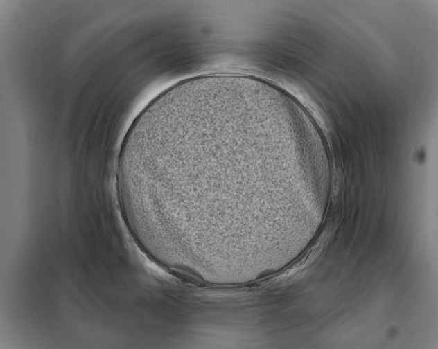 X0000097991486200804211051