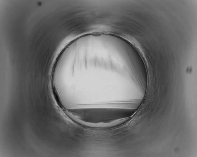 X0000097991488200804211051