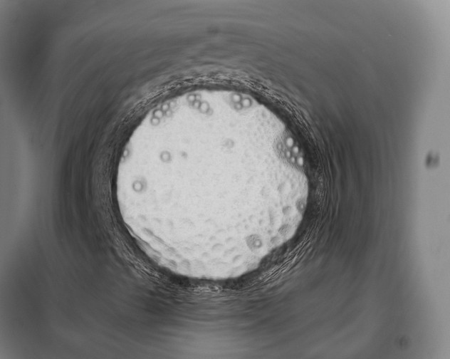 X0000097991489200804211050