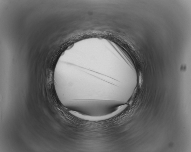 X0000097991492200804211050