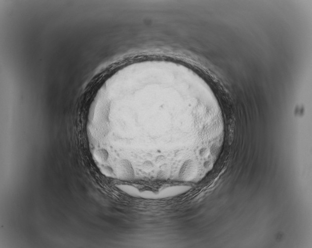 X0000097991494200804211050