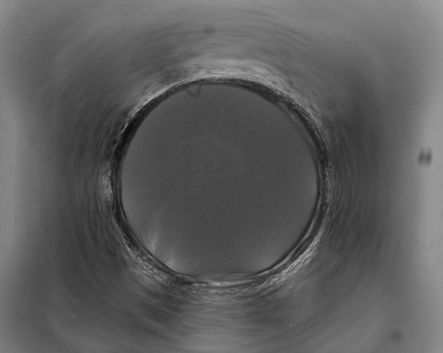 X0000097991497200804211050