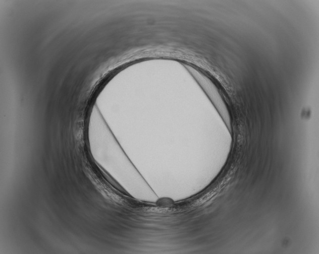 X0000097991499200804211050