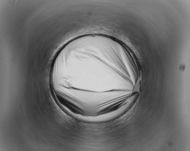 X0000097991500200804211050