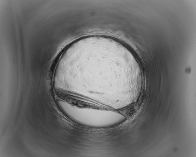 X0000097991501200804211050