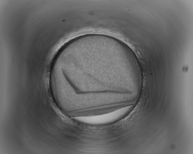 X0000097991503200804211050