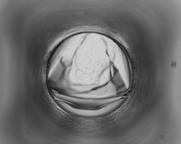 X0000097991504200804211050