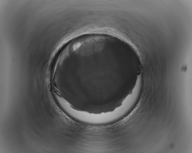 X0000097991506200804211050