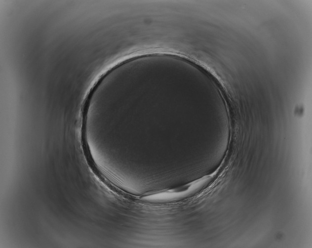 X0000097991508200804211050