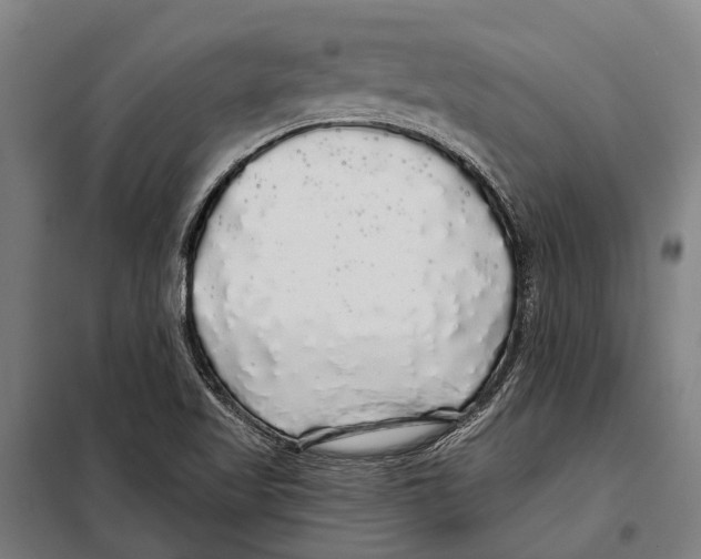 X0000097991509200804211050