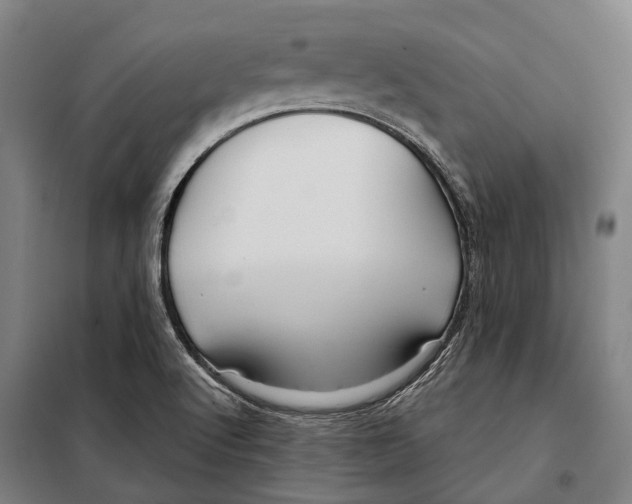 X0000097991512200804211050