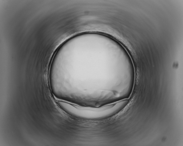 X0000097991513200804211050