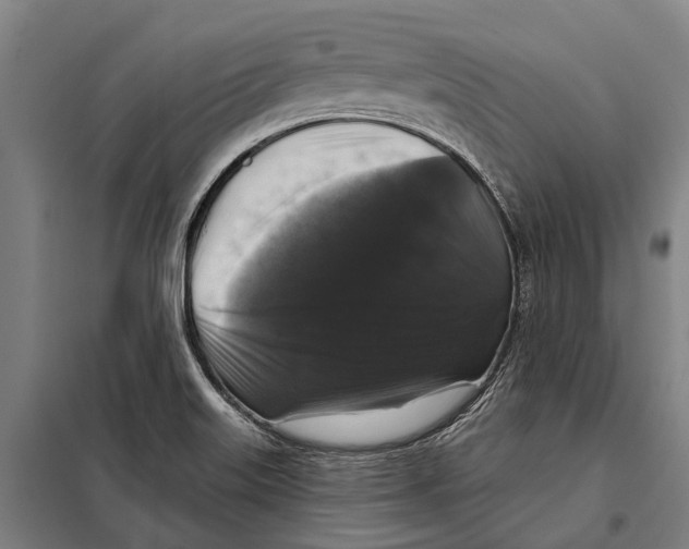 X0000097991515200804211050