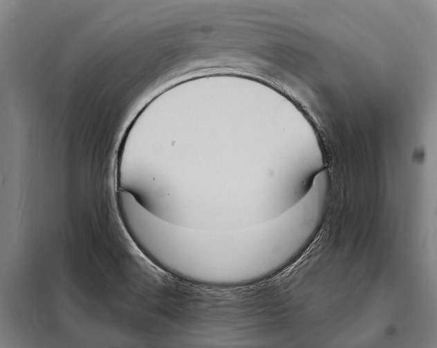 X0000097991516200804211050